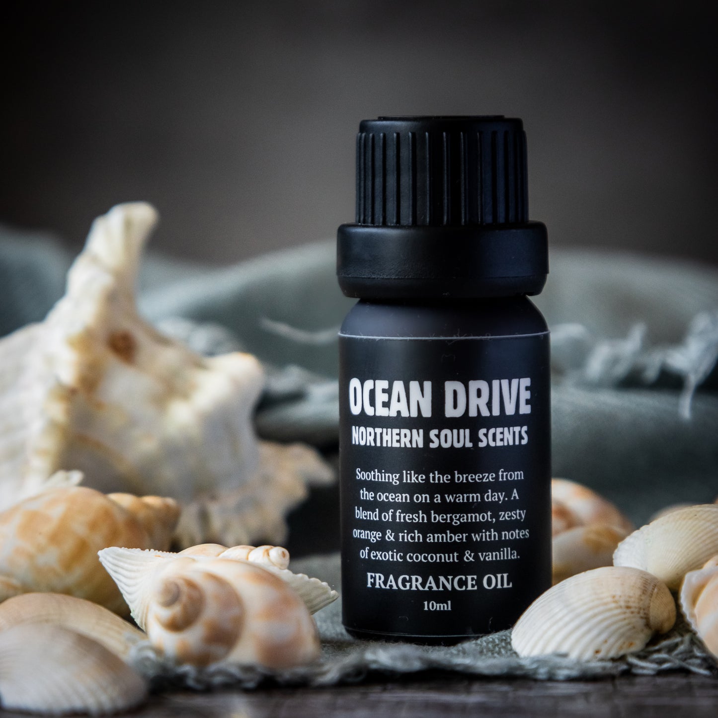Ocean Drive Fragrance Oil - Northern Soul Scents