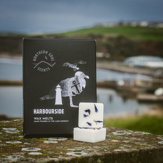Harbourside Scented Wax Melts: Immerse yourself in the coastal charm of a harbourside with these captivating scented wax melts. Carefully packaged in a plastic-free wax paper bag and enclosed in a cardboard sleeve adorned with a delightful seagull and lighthouse design on the front, these melts evoke the serenity of a seaside retreat. Each wax cube is delicately adorned with dried botanicals, reminiscent of coastal flora