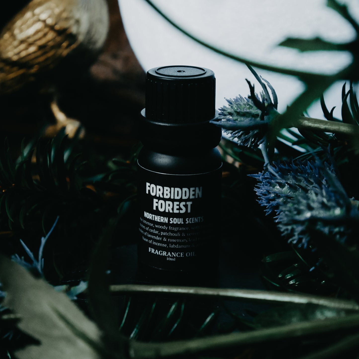 Forbidden Forest Fragrance Oil: Spring Collection - Northern Soul Scents