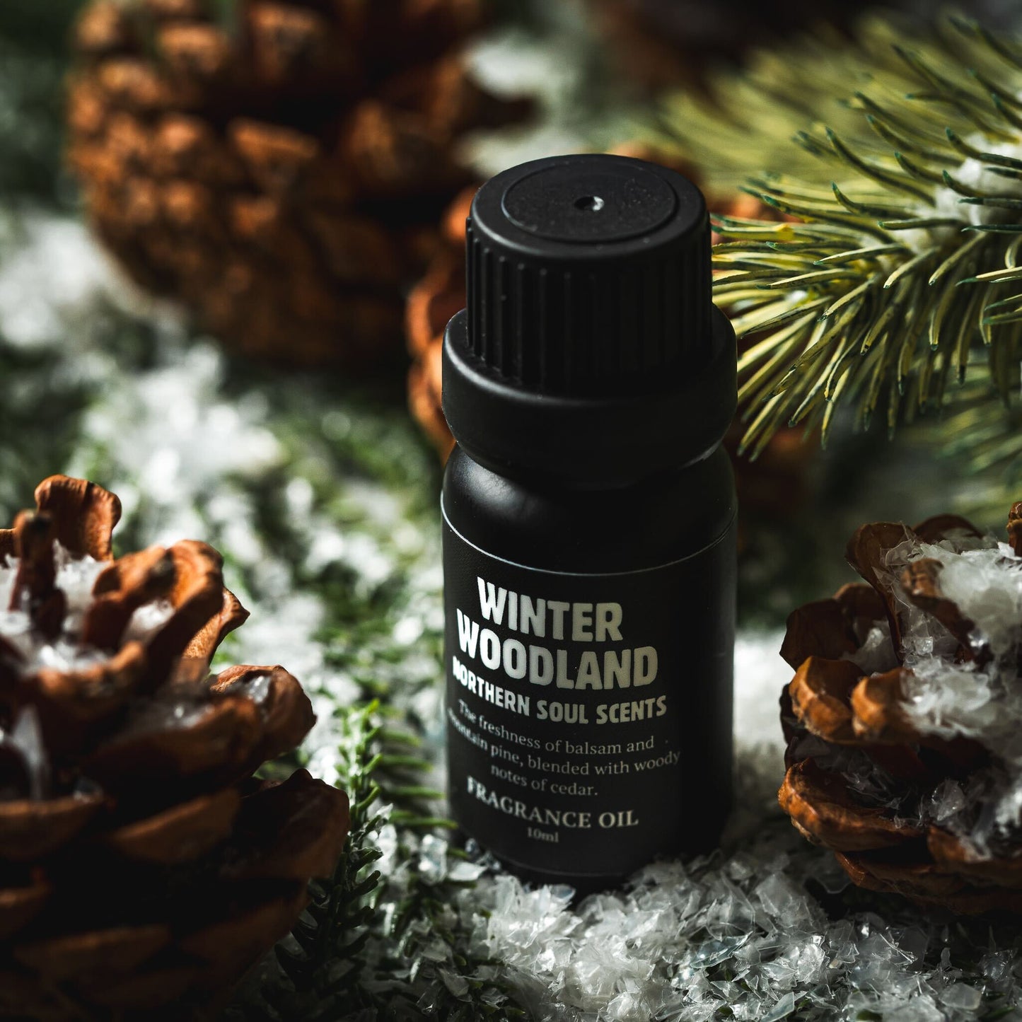 Winter Woodland Fragrance Oil: Winter Collection