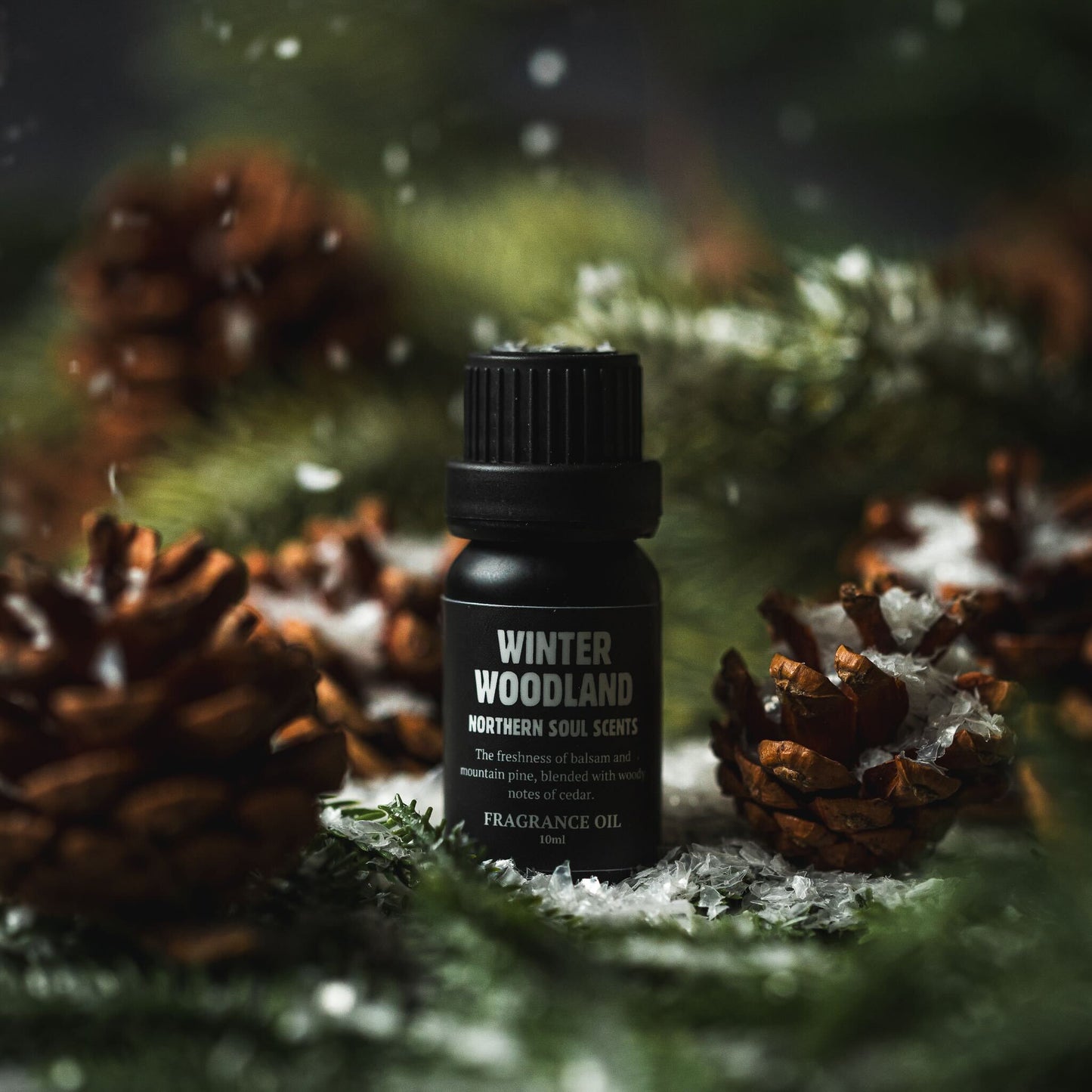 Winter Woodland Fragrance Oil: Winter Collection