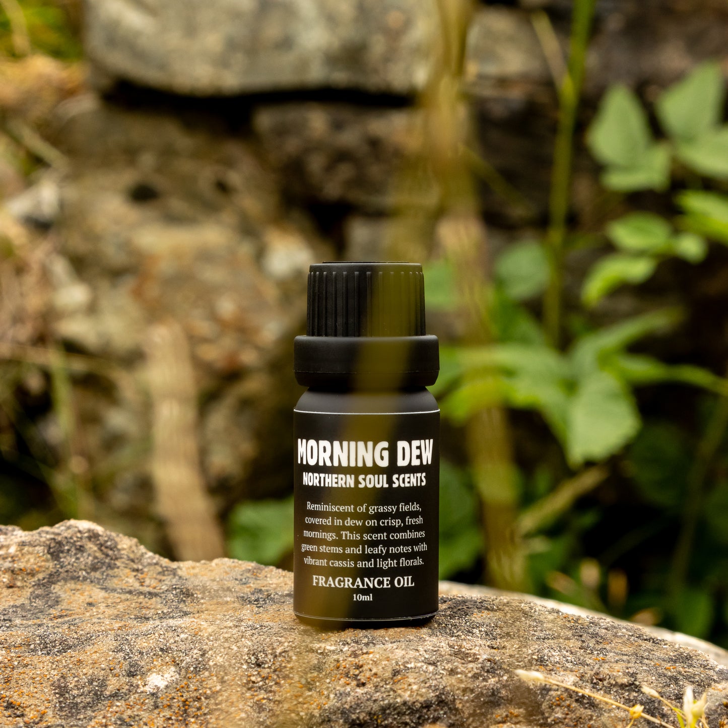 Morning Dew Fragrance Oil - Northern Soul Scents