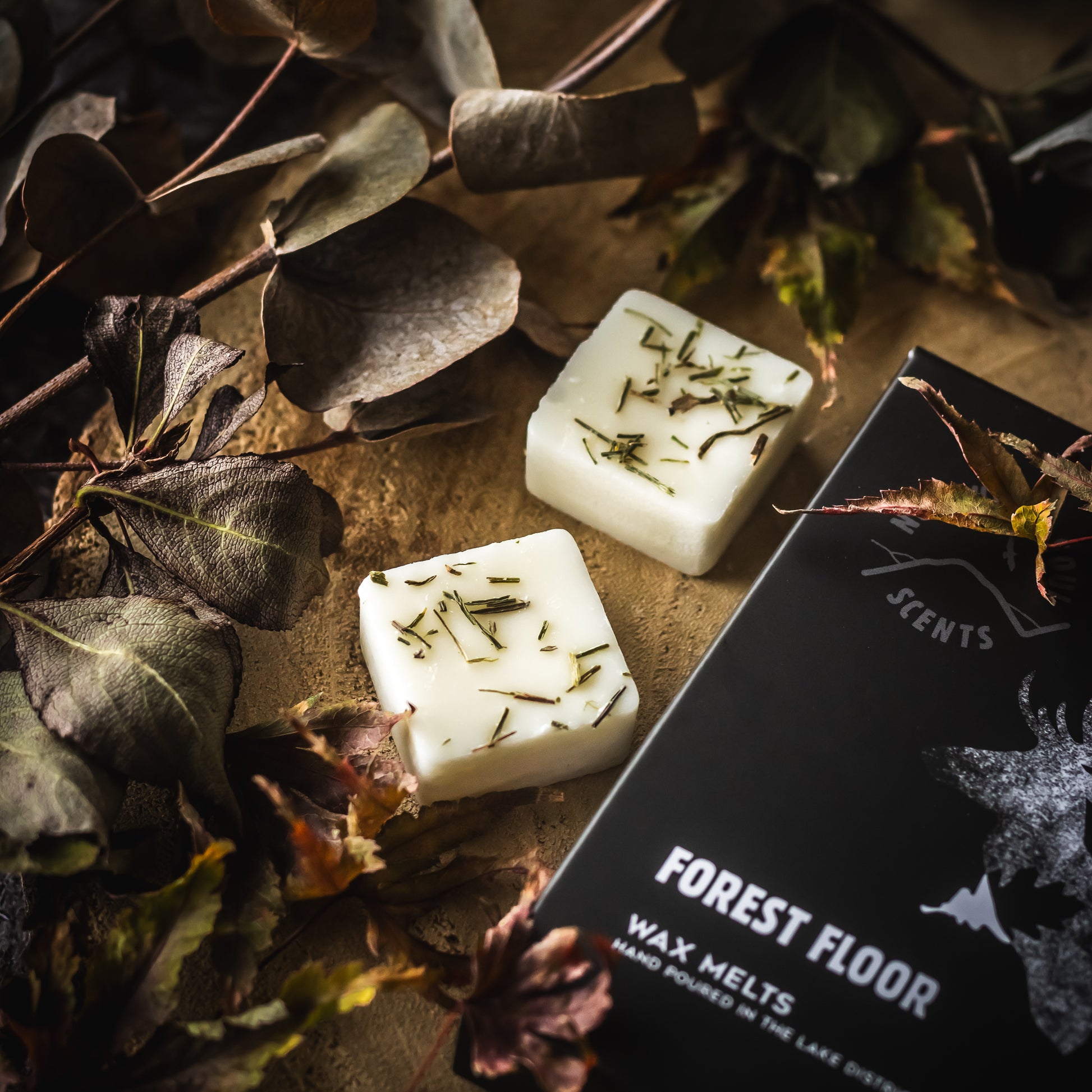 Forest Floor Wax Melts: Transform your space into a peaceful sanctuary with these enchanting wax melts, inspired by the beauty of nature. Each wax cube is decorated with green dried botanicals and comes packages in a cardboard sleeve with wild deer and woodland design on the front. Pefect for gifting.