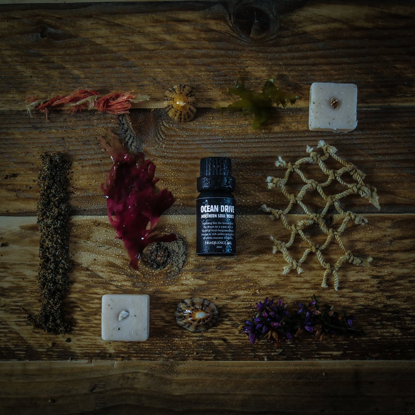 Ocean Drive Fragrance Oil - Northern Soul Scents