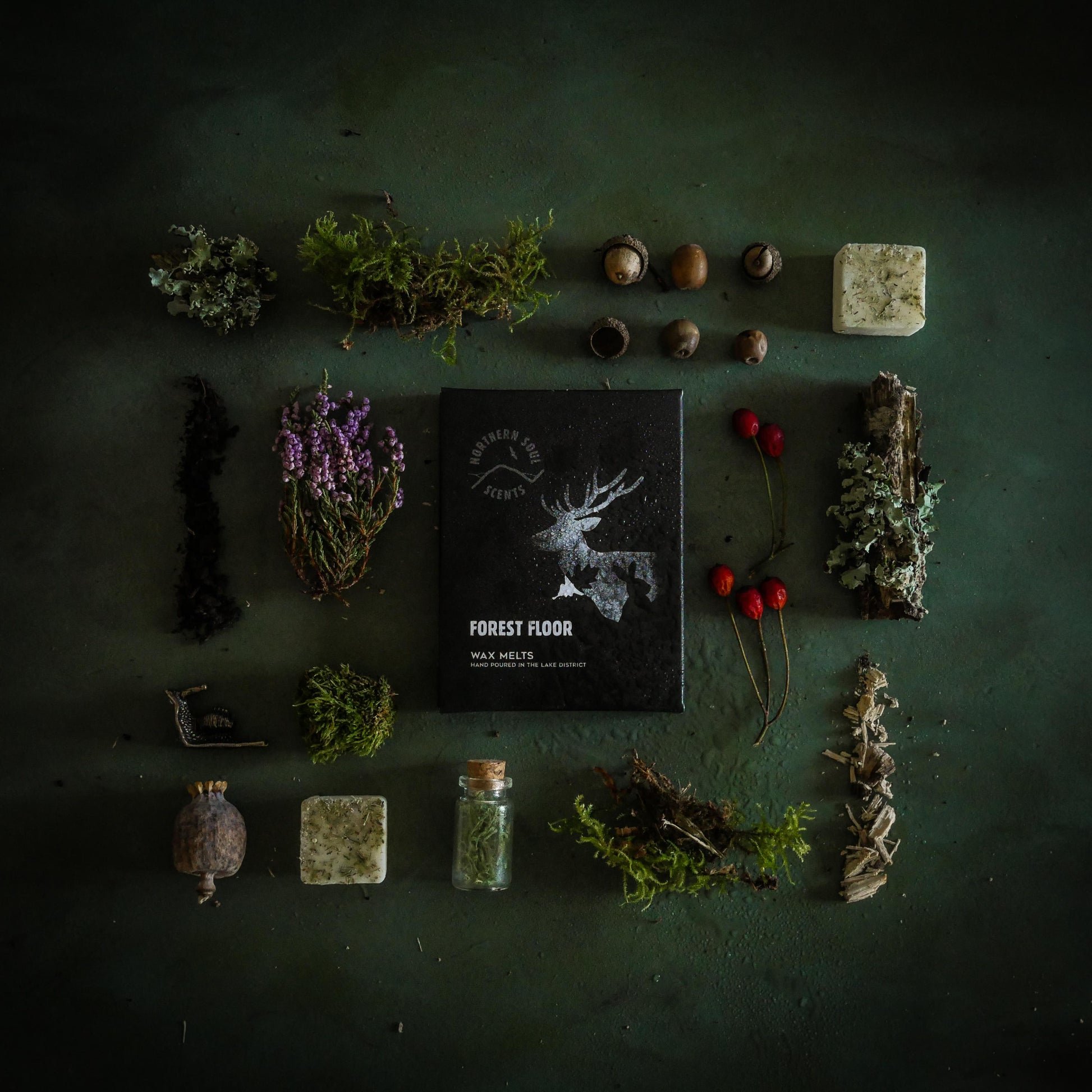 Forest Floor Wax Melts - Northern Soul Scents