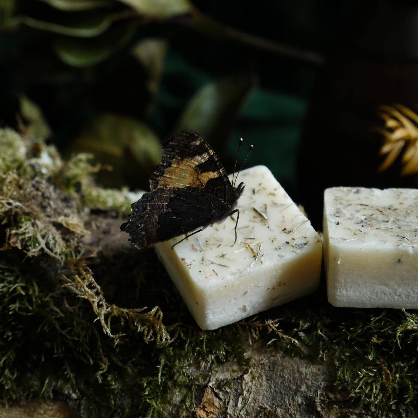 Forest Floor Wax Melts - Northern Soul Scents