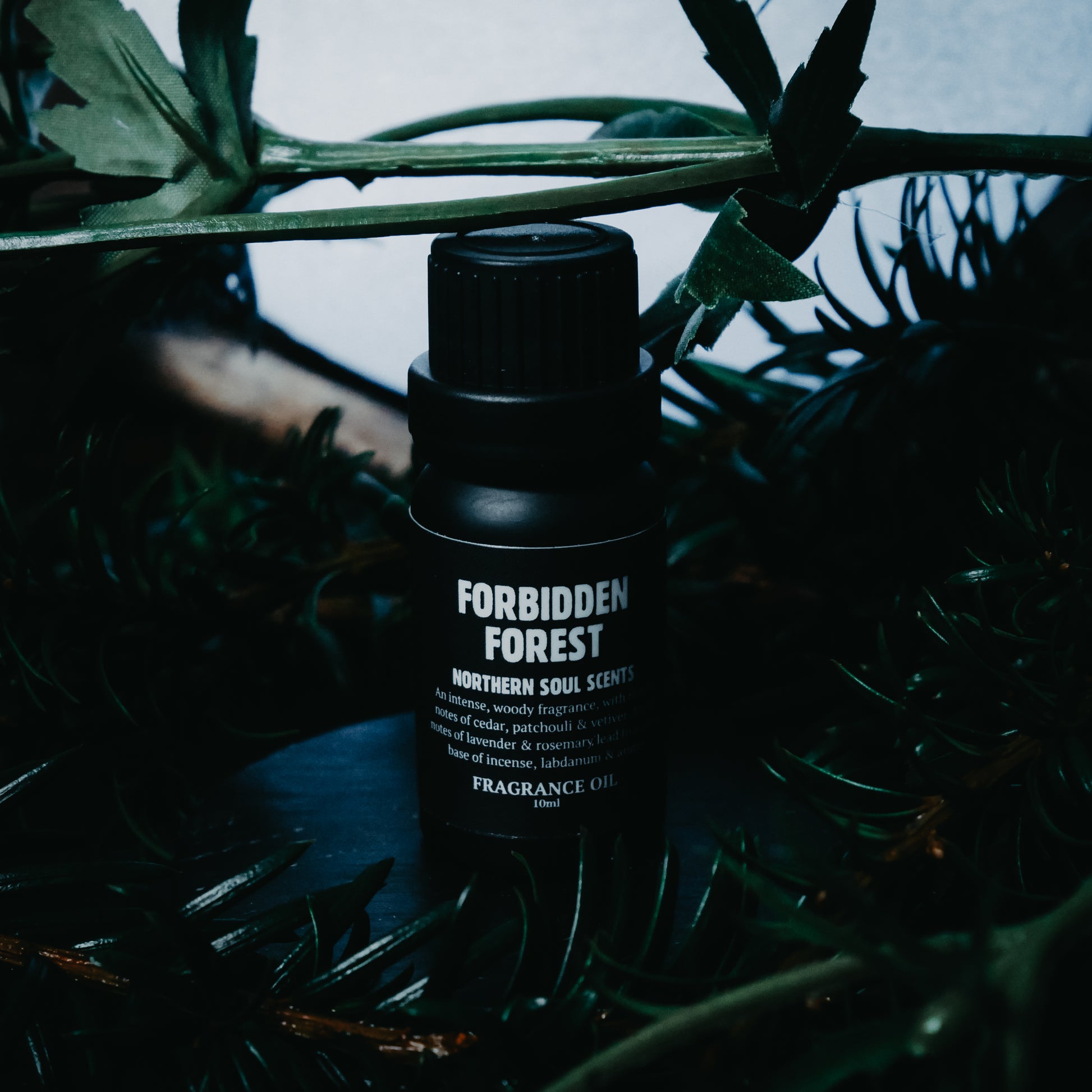 Forbidden Forest Fragrance Oil: Spring Collection - Northern Soul Scents