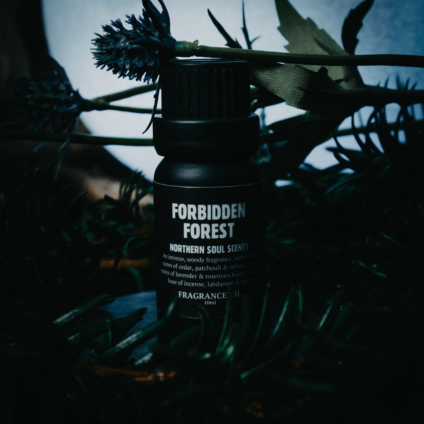 Forbidden Forest Fragrance Oil: Spring Collection - Northern Soul Scents