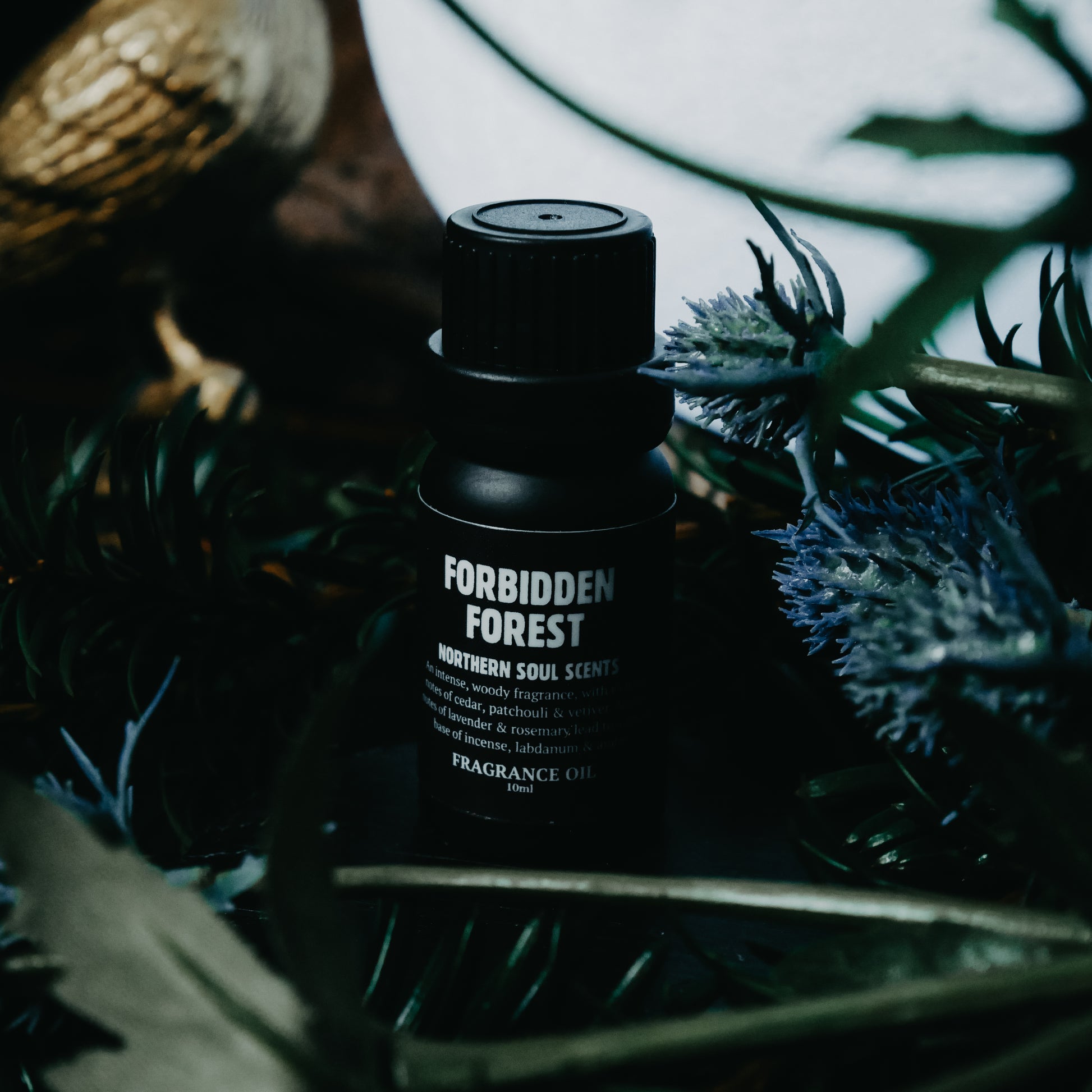 Forbidden Forest Fragrance Oil: Spring Collection - Northern Soul Scents