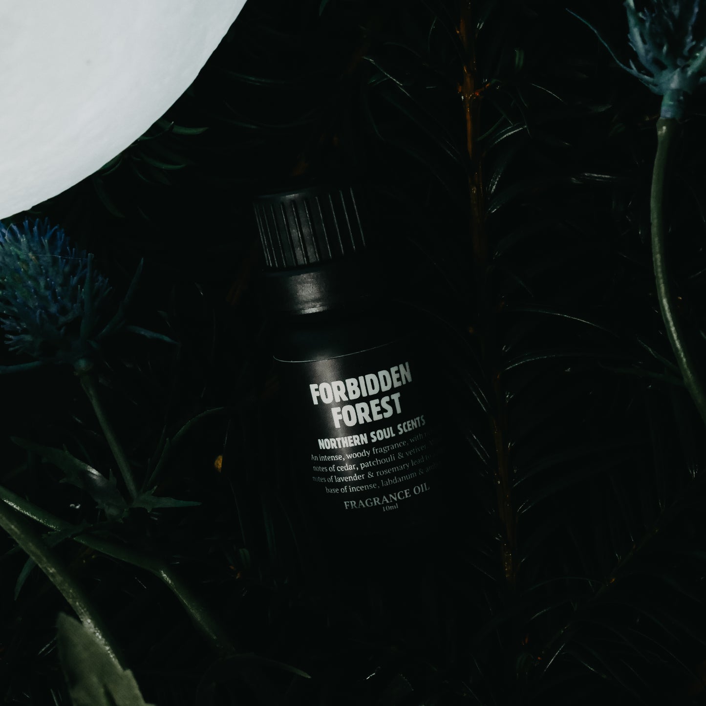 Forbidden Forest Fragrance Oil: Spring Collection - Northern Soul Scents