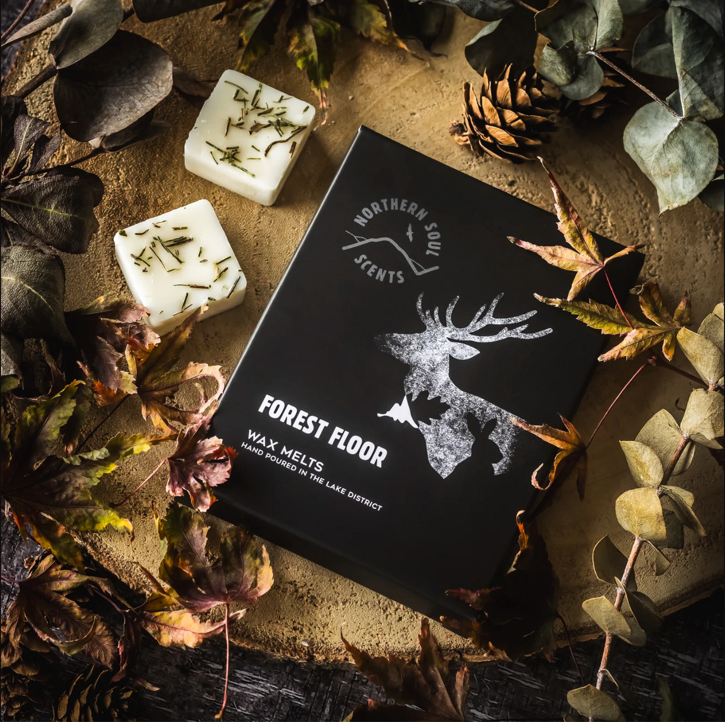 The Wax Melt Starter Pack